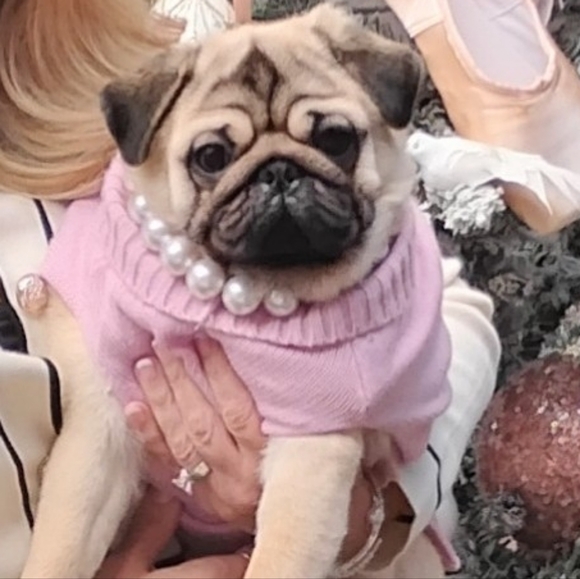 Meet your Posher, Kerri - Picture 2 of 2